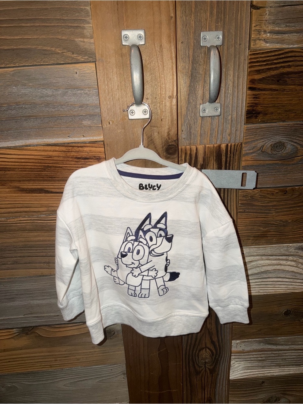 Bluey Toddler Sweater - size 24m